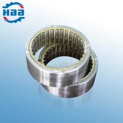 560mm Nnu49/560 44829/560 Double Rows Cylindrical Roller Bearing