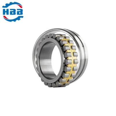 1060mm Nnu49/1060 44829/1060 Double Rows Cylindrical Roller Bearing