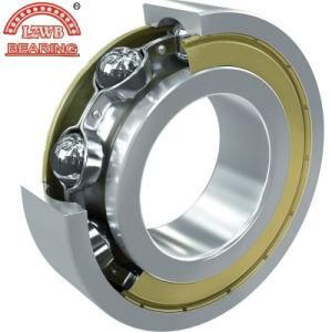 P6 Standard Gcr15 Ball Bearing (6038-6064zz)