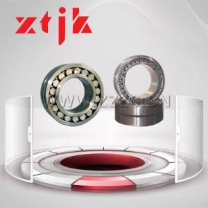 Best Quality China Factory Double Row Cylindrical Roller Bearing