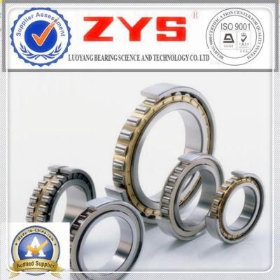 Zys Low Friction Cylindrical Roller Bearings N1016k Nn3016k