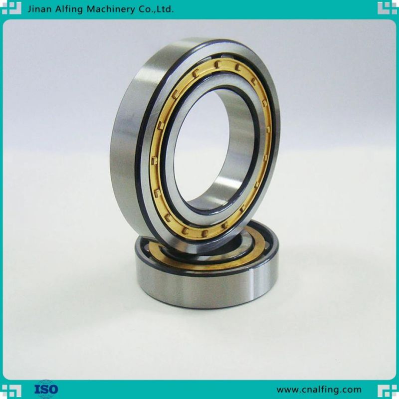 Cylindrical Roller Bearing Without Cup Brass Nylon Cage