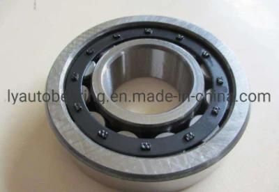 Motorcycle Parts Cylindrical Roller Bearing (42160/NJ1060) Roller Bearing