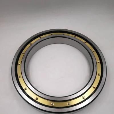 16044 16048 16052 16056 16060 16064 16068 Zz 2RS Large Diameter Radial Thin Wall Deep Groove Ball Bearing