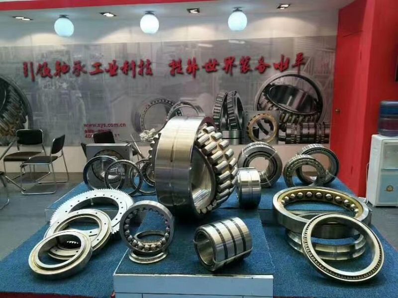 Zys Brass Cage Spherical Roller Bearing 22320 K 22320K 22320/C3w33 Sizes 100*245*73 Made in China