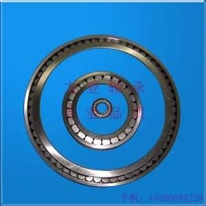 Full Complement Cylindrical Roller Bearing, SL Bearing