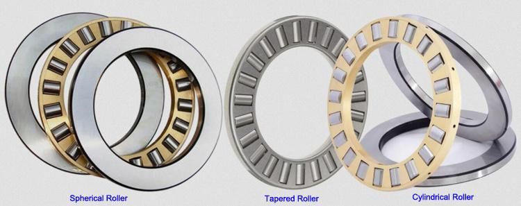 610mm Ttsx610 Cylindrical, Tapered and Spherical Thrust Roller Bearing Factory