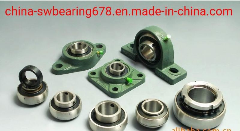High Quality Pillow Block Bearing House Gold Supplier