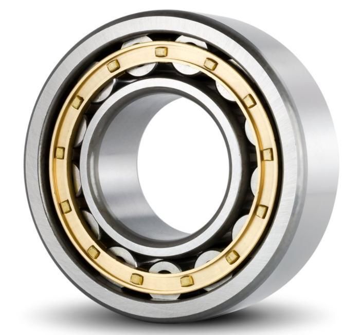 Cylindrical Roller Bearing N310e/2310e 2310ea N310m/2310h NF310/12310 12310ea NF310m/12310h Nu310/32310 Nu310e/32310e 32310ea Large Motor The Generator