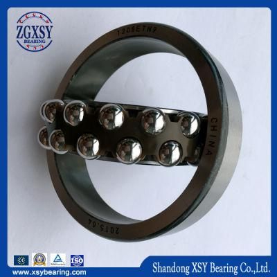 Factory Direct Sale Self-Aligning Ball Bearing 1300