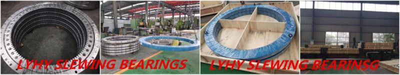 Slewing Ring Bearings Turntabel Bearings Gear Bearings 161.40.2000.890.11.1503