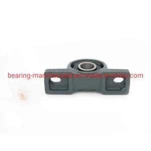 Stainless Steel Pillow Bearing Syj50TF with Cast Iron Pillow Block