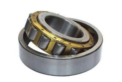 Cyllindrical Roller Bearing N1036em/Nj1036em/Nu1036em