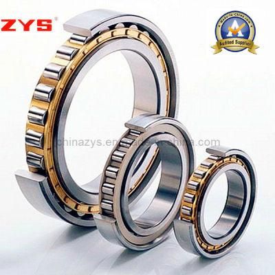China Supply Competitive Price Zys Cylindrical Roller Bearing N1040k Nn3040k