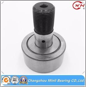 Long Life Curve Roller Bearing with Cylindrical Outer Ring