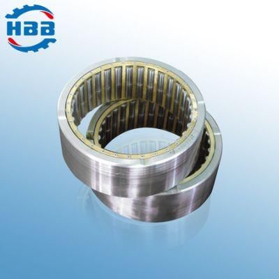 600mm Nnu49/600 44829/560 Double Rows Cylindrical Roller Bearing