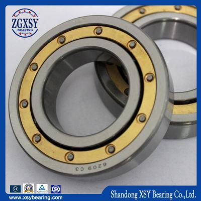 Professional Anti-Friction Cylindrical Roller Bearing (NSK, TIMKEN, KOYO, NACHI, NTN)