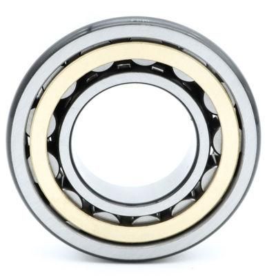 Yoch Nn3006K Nn3008K Nn3010K Nn3012K Cylindrical Roller Bearing with Brass Cage