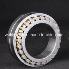 High Strength Double Row Short Cylindrical Roller Bearing