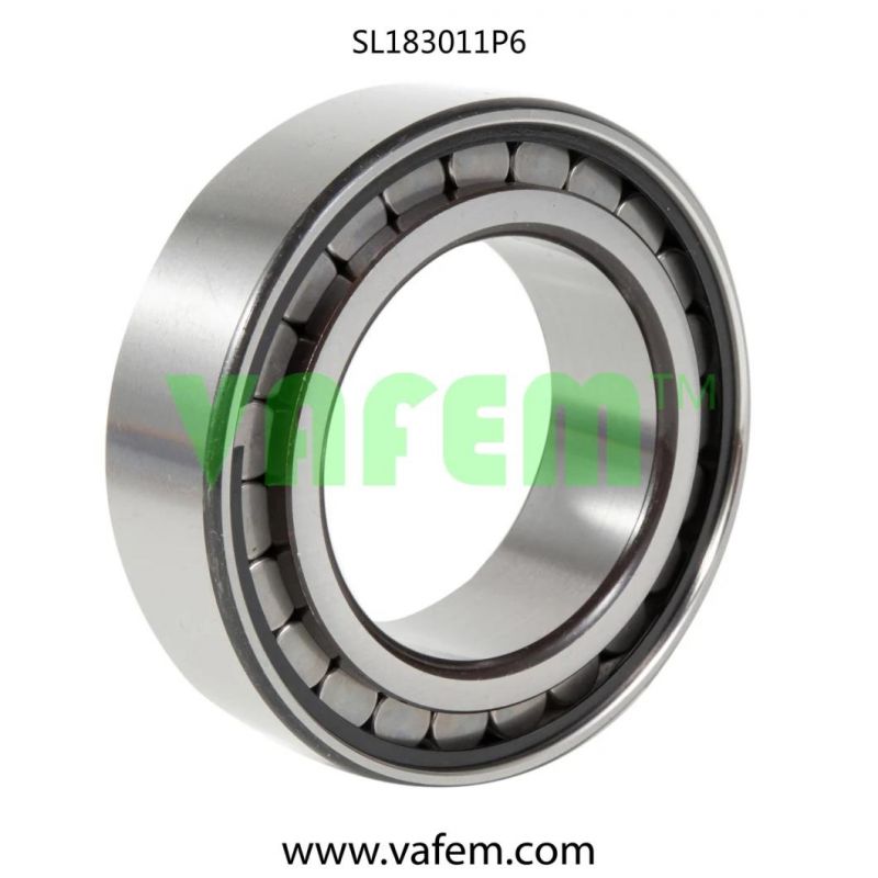 Cylindrical Roller Bearing N305/Roller Bearing/Auto Parts/Quality Certified