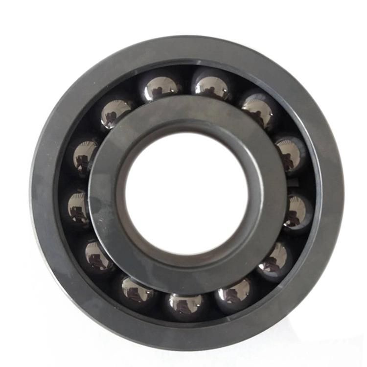High Temperature and Corrosion Resistant NTN NSK IKO NACHI 6204CE 16001CE 6302CE 694CE Ultra Precision Used on Gym Equipment Ceramic Bearing