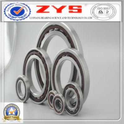 Zys Patent Product Mud Lubricating Bearings for Drill Motor