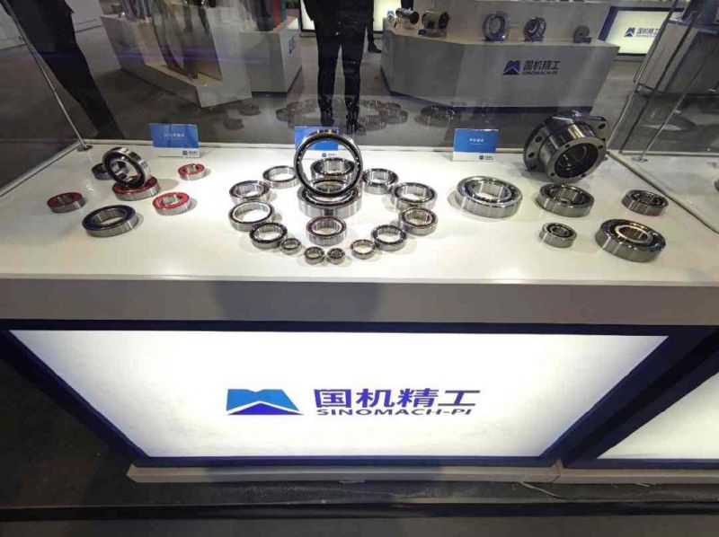 Auto Part Thrust Ball Bearing, Roller Bearing, Insert/Pillow Block Bearing, Wheel Hub Bearing, Needle/Spherical/Cylindrical/Taper Roller Bearing Slewing Bearing