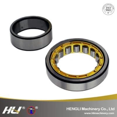 High Precision Cylindrical Roller Bearing NJ319EM for Water Pumps with OEM Service