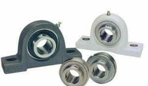 Chrome Steel Pillow Block Bearing with Cast Iron Flange UCP205 208 210 with Bearing Housings