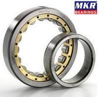 Factory Hot Sales Cylindrical Roller Bearings N213
