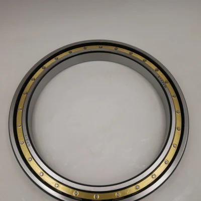 16016 16017 16018 16019 16020 16021 16022zz 2RS Open Radial Deep Groove Ball Bearing