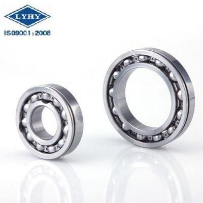 Large Deep Groove Ball Bearings (6048)