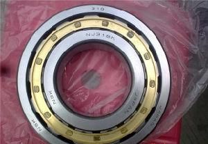 SKF Deep Groove Ball Bearing 6204 Zz 2RS 6203 6202 Bearing 6204 SKF Bearing