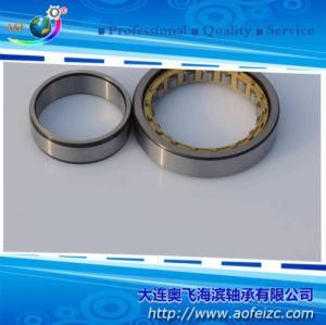 Cylindrical Roller Bearing NU1056M Bearing 280*420*65mm