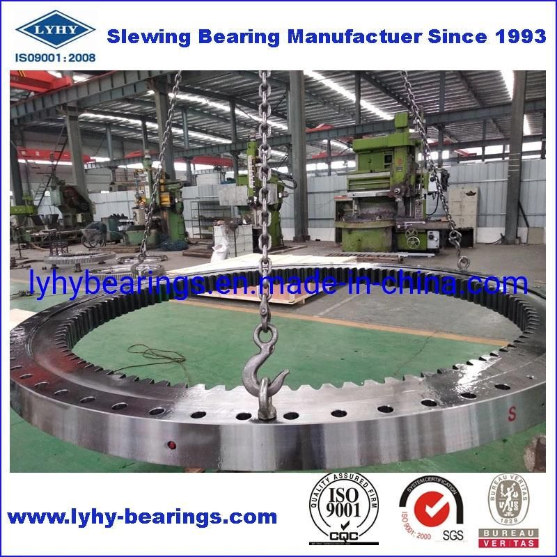 Light Type Slewing Ring Bearing Turntable Bearing Roller Bearing No Gear Teeth Bearing Flanged Bearing (RKS. 160.14.0414)
