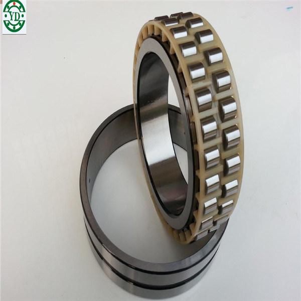 Nup409e-Tvp2 Nup409e. Tvp2 Brass NSK Nylon Cage Cylindrical Roller Bearing