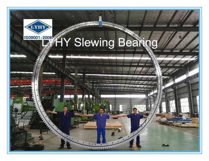 01-2202-00 Large Diameter Slewing Bearing Slewing Ring Bearing
