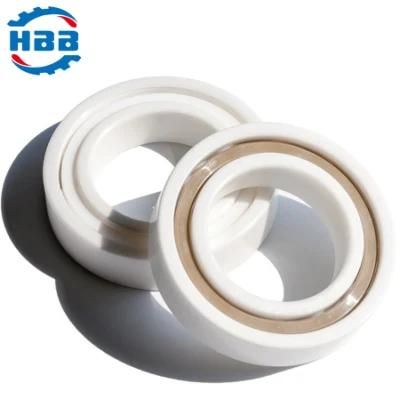 12mm (6001CE/6201CE/6301CE) Full Ceramic Deep Groove Ball Bearing China Hot Sale
