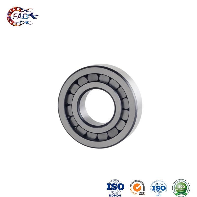 Xinhuo Bearing China Motor Bearing Suppliers Loose Ball Bearings Lowes Chrome Steel Material Cylindrical Roller Bearing