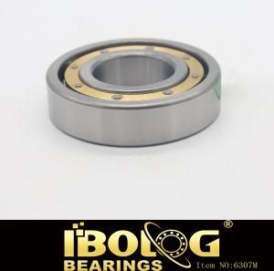 Cylindrical Roller Deep Groove Ball Bearing Model No. 6307m with Best Quality