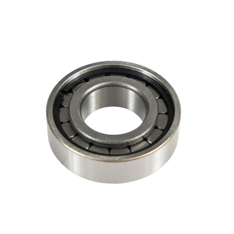 Full Complement Flange Cylindrical Roller Bearing Nj202 Nj203 Nj204