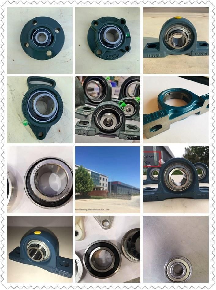 Pillow Block Bearing / Cast Iron Housing / Chrome Steel Beearing (UCFC208 SA207 6005RS UCFL203)