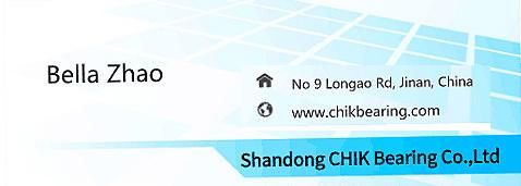 Chik HK Series Needle Roller Bearings with Competitive Price