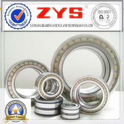 Zys High Quality Cylindrical Roller Bearing N10k Series Cylindrical Bearing Rollers