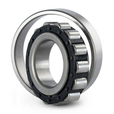 GIL N310 High Radial Load Capacity Cylindrical roller bearing