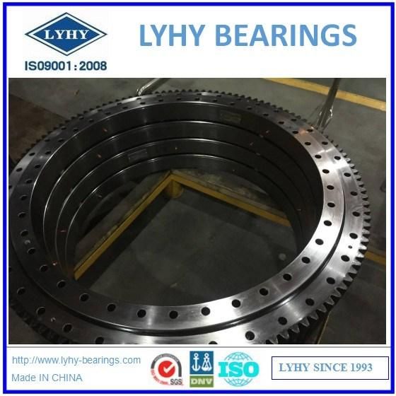 Slewing Bearings with External Teeth for Steel Mill Eb1.25.1055.201-2stpn
