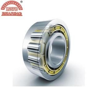 Batch Goods of Cylindrical Roller Bearing (NJ 216 EM)