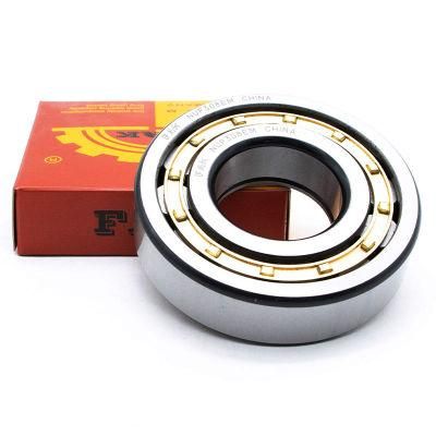 Best Price Hot Sales Brass Cage NTN NSK Koyo Electric Motorcycle Used Cylindrical Roller Bearing Nu319m Nj319 N319etvp 95*200*45mm