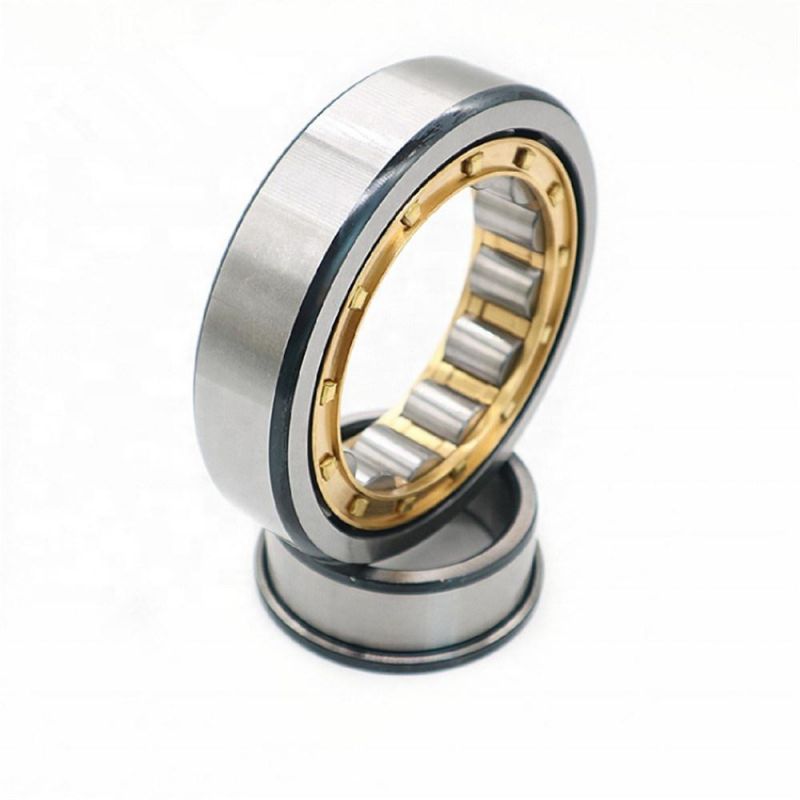 Hot Selling Factory Price 40mm Double Row Cylindrical Roller Bearings