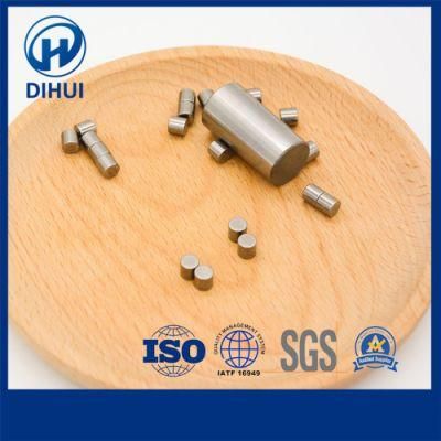 Factory Direct Sales 17X24 High Precision 52100 100cr6 Suj2/420ss 440ss Tr (RC/ZRO) Tp Zb Cylindrical Roller Drum Roller for Bearing
